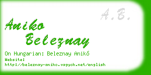 aniko beleznay business card